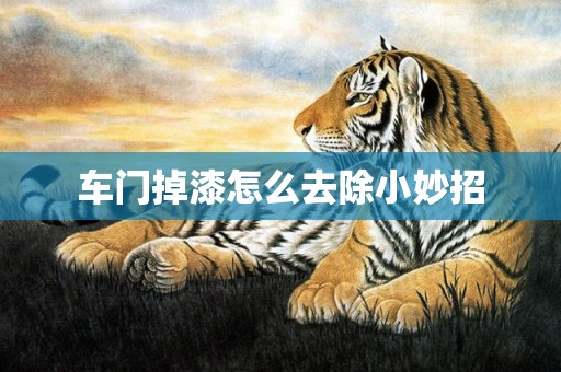 车门掉漆怎么去除小妙招