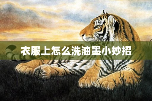 衣服上怎么洗油墨小妙招