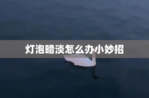 灯泡暗淡怎么办小妙招