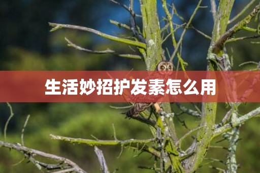生活妙招护发素怎么用