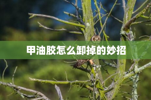 甲油胶怎么卸掉的妙招