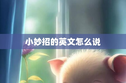 小妙招的英文怎么说