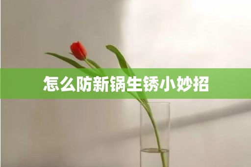 怎么防新锅生锈小妙招