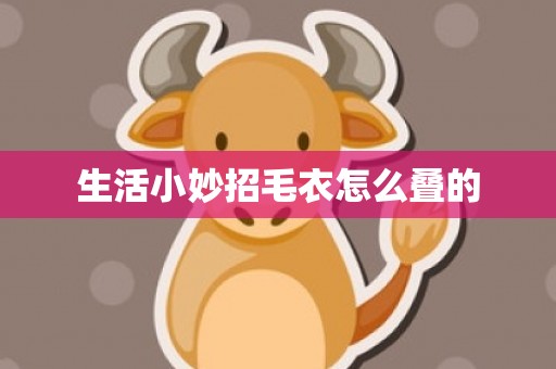 生活小妙招毛衣怎么叠的