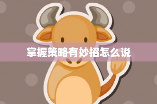 掌握策略有妙招怎么说