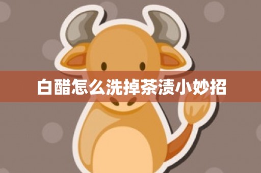白醋怎么洗掉茶渍小妙招