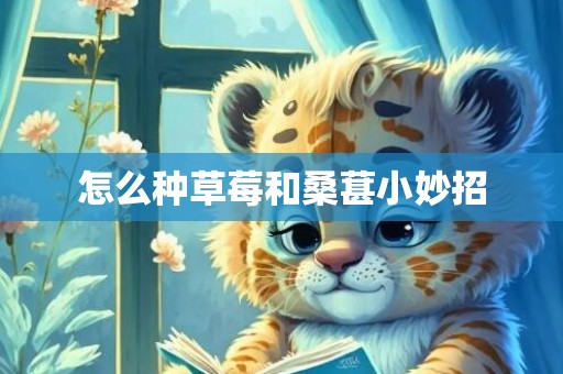 怎么种草莓和桑葚小妙招