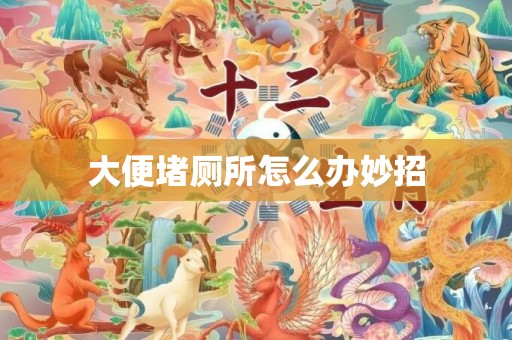 大便堵厕所怎么办妙招