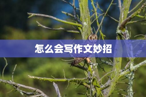 怎么会写作文妙招