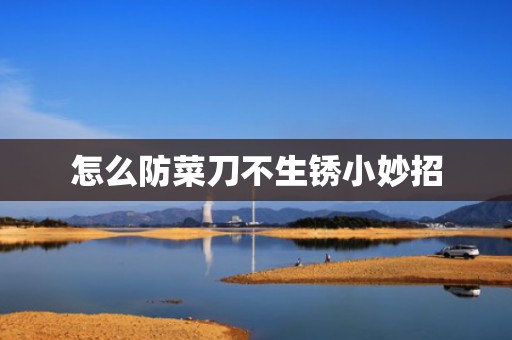 怎么防菜刀不生锈小妙招