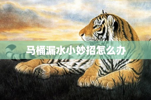 马桶漏水小妙招怎么办