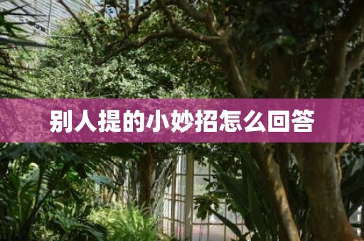 别人提的小妙招怎么回答
