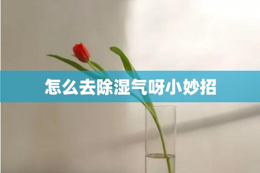 怎么去除湿气呀小妙招