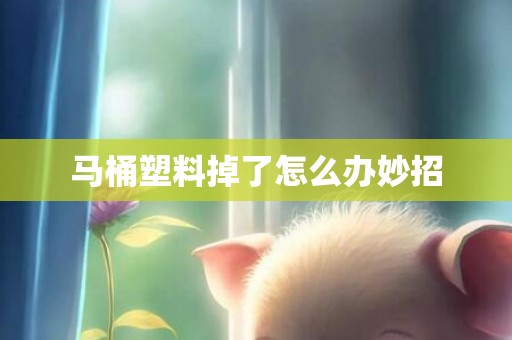 马桶塑料掉了怎么办妙招