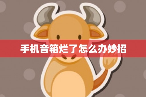 手机音箱烂了怎么办妙招
