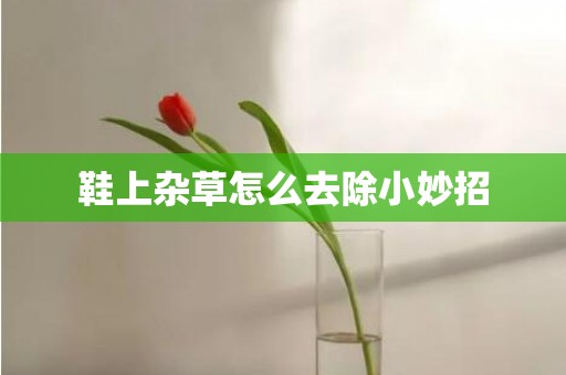 鞋上杂草怎么去除小妙招