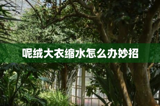 呢绒大衣缩水怎么办妙招