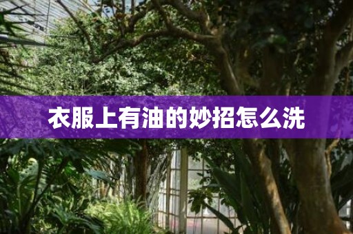 衣服上有油的妙招怎么洗