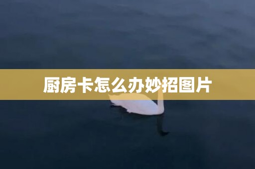 厨房卡怎么办妙招图片