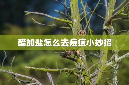 醋加盐怎么去痘痘小妙招