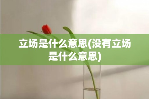 立场是什么意思(没有立场是什么意思)