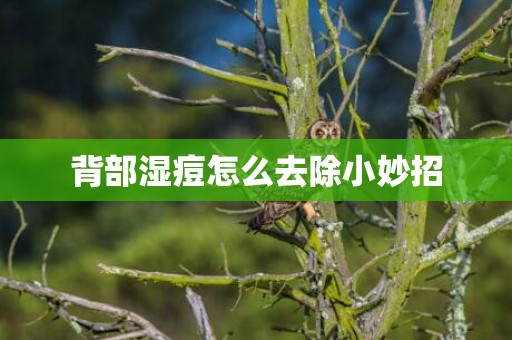 背部湿痘怎么去除小妙招