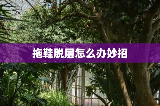 拖鞋脱层怎么办妙招