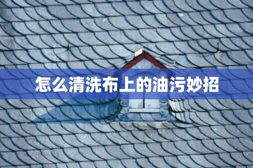 怎么清洗布上的油污妙招