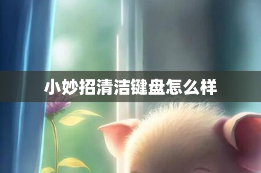 小妙招清洁键盘怎么样
