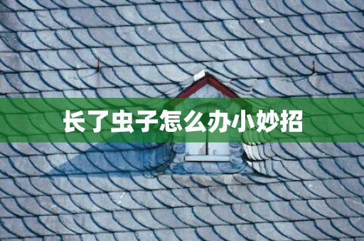 长了虫子怎么办小妙招