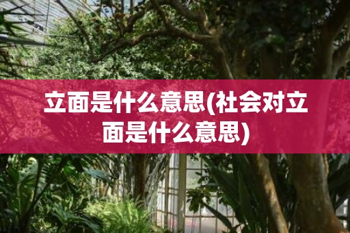 立面是什么意思(社会对立面是什么意思)