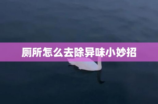 厕所怎么去除异味小妙招