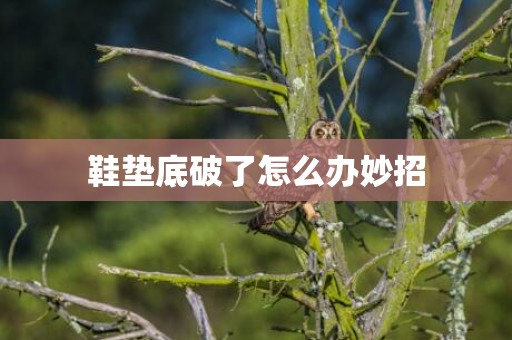 鞋垫底破了怎么办妙招