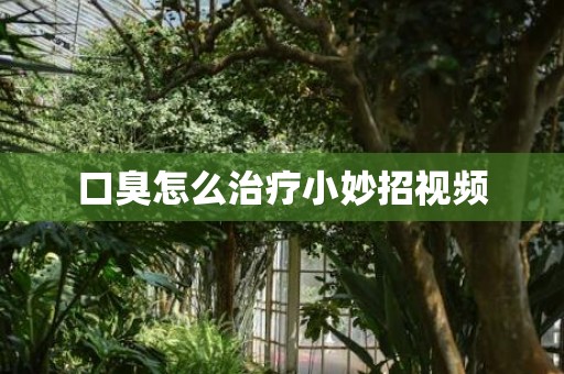 口臭怎么治疗小妙招视频