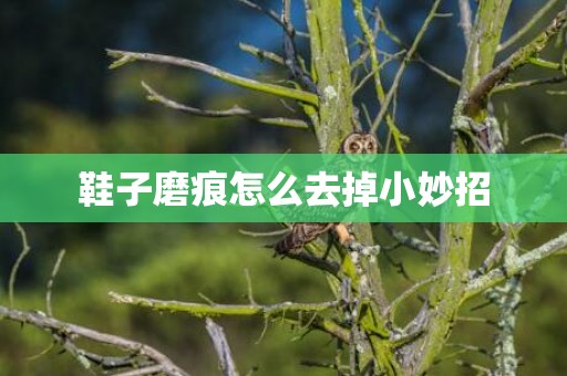 鞋子磨痕怎么去掉小妙招