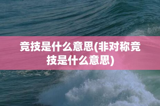 竞技是什么意思(非对称竞技是什么意思)