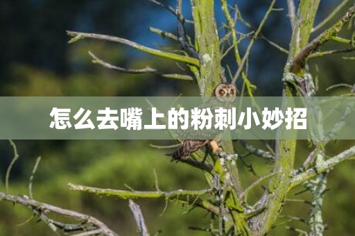 怎么去嘴上的粉刺小妙招