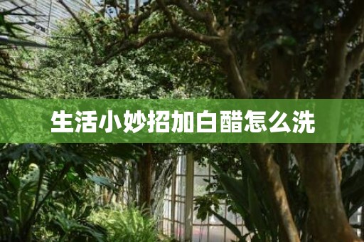 生活小妙招加白醋怎么洗