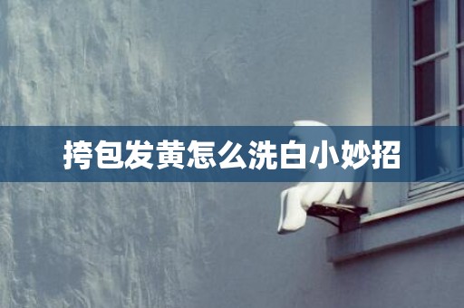 挎包发黄怎么洗白小妙招