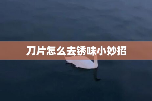 刀片怎么去锈味小妙招