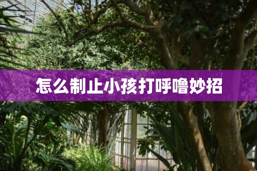 怎么制止小孩打呼噜妙招