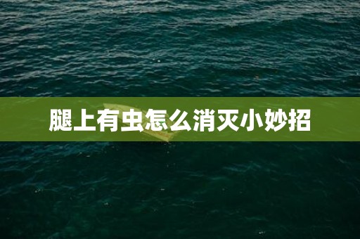 腿上有虫怎么消灭小妙招