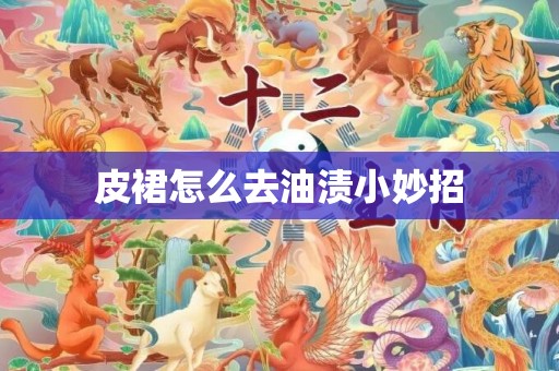 皮裙怎么去油渍小妙招
