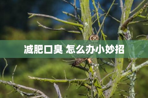 减肥口臭 怎么办小妙招