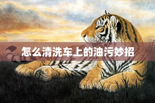 怎么清洗车上的油污妙招