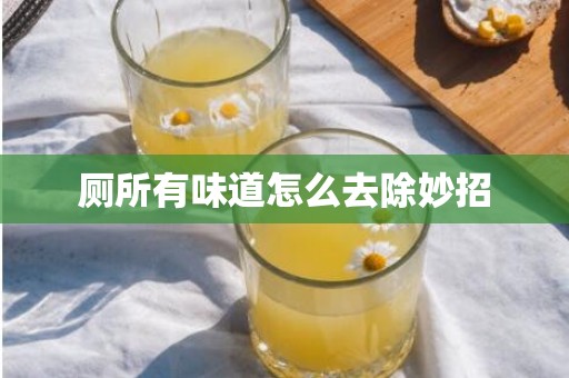 厕所有味道怎么去除妙招