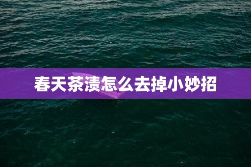春天茶渍怎么去掉小妙招