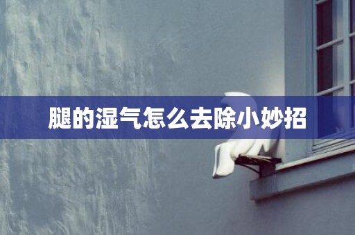腿的湿气怎么去除小妙招