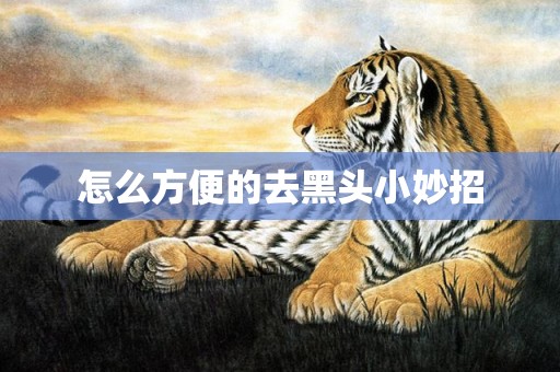 怎么方便的去黑头小妙招