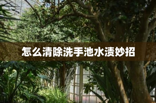 怎么清除洗手池水渍妙招